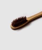 Intention Toothbrush 2-Pack